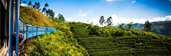 Enchanting Sri Lanka: 4 Nights & 5 Days Tropical Getaway