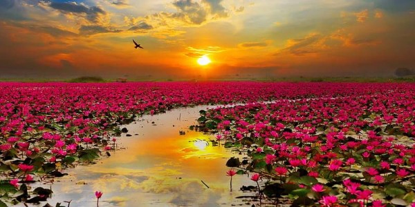 Ultimate Kerala Experience – 6 Nights & 7 Days of Natural Wonders & Cultural Treasures