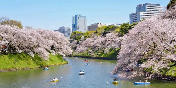Japan Tour Package from Hyderabad – 7 Nights / 8 Days