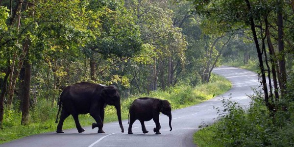 Coorg & Wayanad Tour Package – 4 Nights / 5 Days from Bangalore